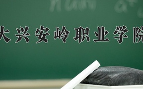 2024年大兴安岭职业学院录取分数线，宁夏最低334分