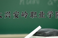 2024年大兴安岭职业学院录取分数线，宁夏最低334分