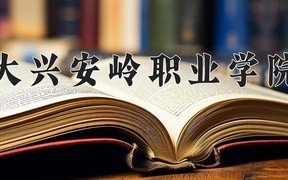 2024年大兴安岭职业学院在辽宁计划招生人数（附学费及专业录取分)