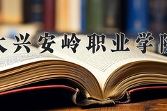 2024年大兴安岭职业学院在辽宁计划招生人数（附学费及专业录取分)