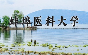 2024年蚌埠医科大学在辽宁计划招生人数（附学费及专业录取分)