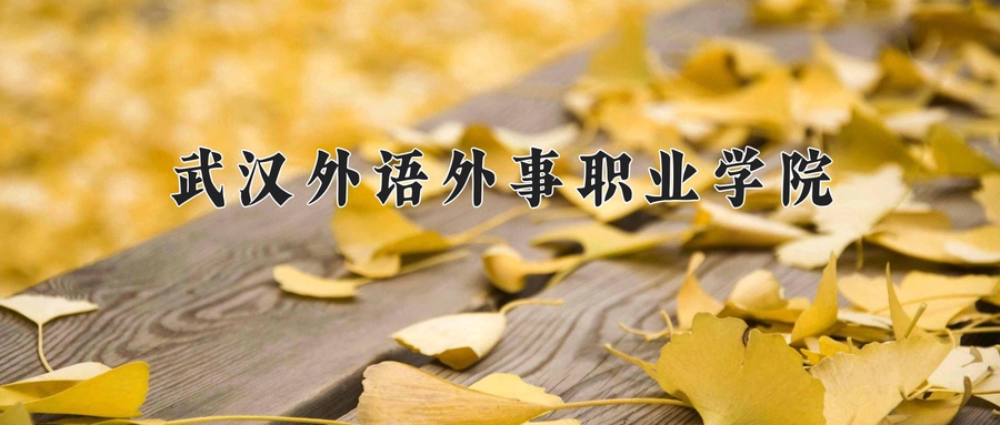 武汉外语外事职业学院