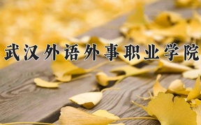 2024武汉外语外事职业学院录取分数线：四川最低319分