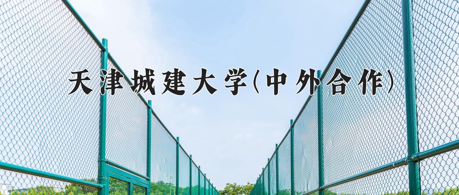 天津城建大学(中外合作)