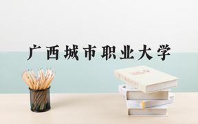2024广西城市职业大学录取分数线：四川最低465分
