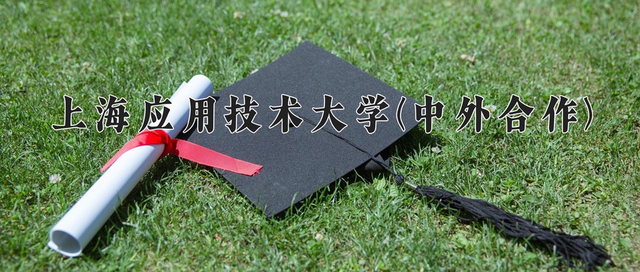 上海应用技术大学(中外合作)