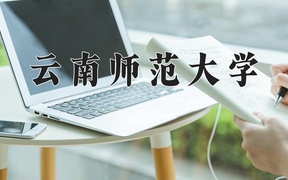 2024云南师范大学录取分数线：四川最低531分