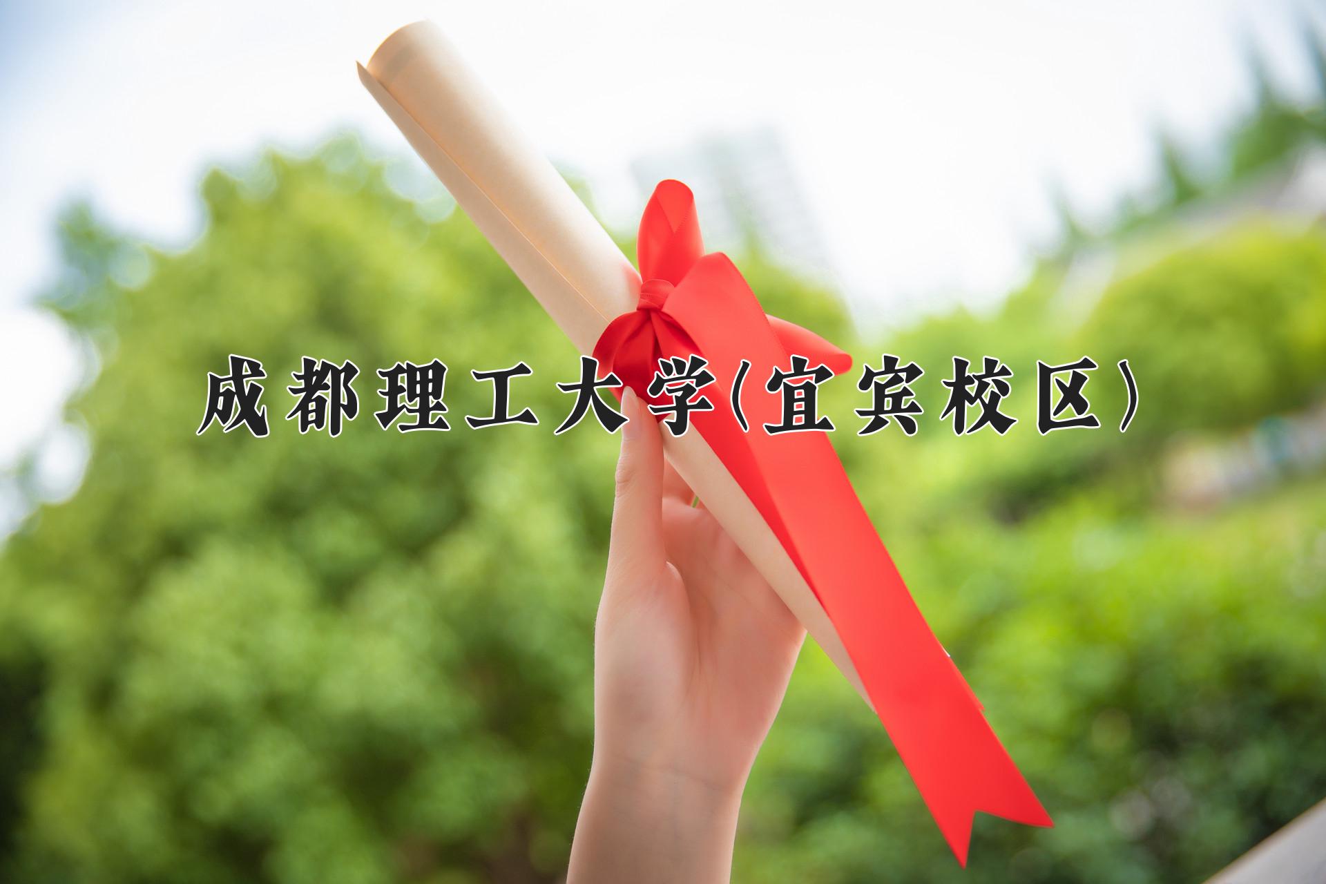成都理工大学(宜宾校区)