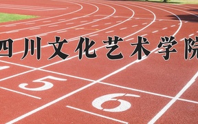 2024四川文化艺术学院录取分数线：四川最低376分