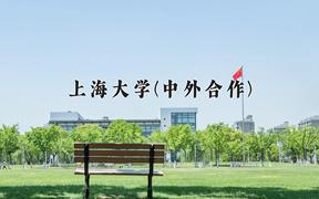 2024上海大学(中外合作)录取分数线：四川最低577分