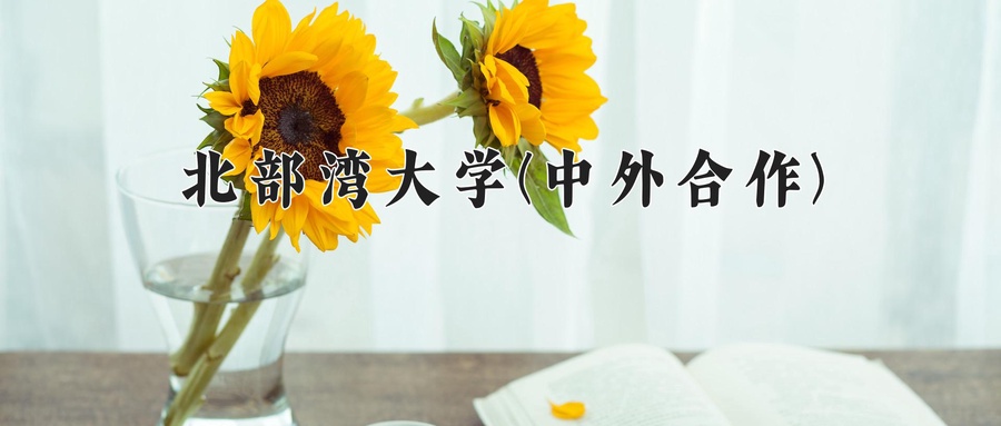 北部湾大学(中外合作)
