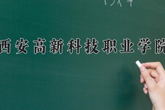 2024西安高新科技职业学院录取分数线：四川最低285分