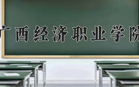 2024广西经济职业学院录取分数线：四川最低296分