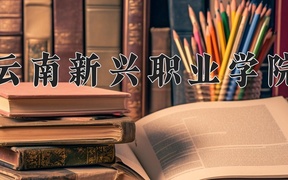 2024云南新兴职业学院录取分数线：四川最低342分