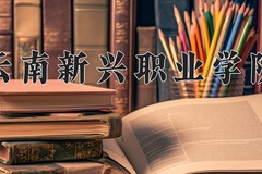 2024云南新兴职业学院录取分数线：四川最低342分