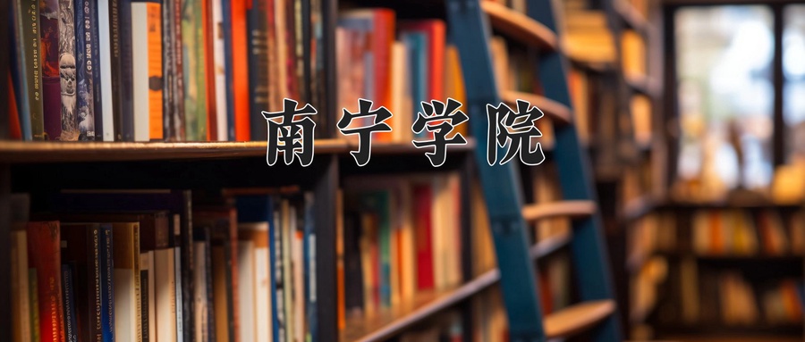 南宁学院
