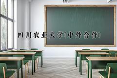 2024四川农业大学(中外合作)录取分数线：四川最低534分