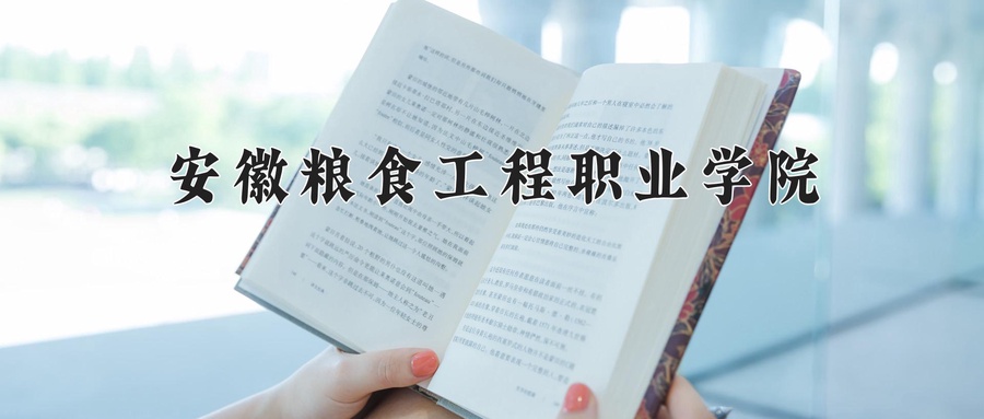 安徽粮食工程职业学院