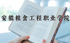 2024安徽粮食工程职业学院录取分数线：四川最低361分