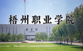 2024梧州职业学院录取分数线：四川最低384分