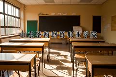 2024山东圣翰财贸职业学院录取分数线：四川最低252分