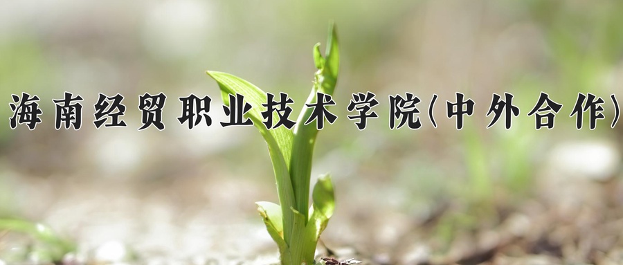 海南经贸职业技术学院(中外合作)