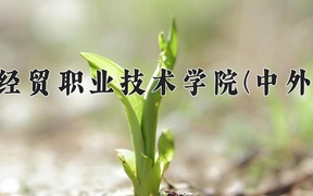 2024海南经贸职业技术学院(中外合作)录取分数线：四川最低387分