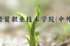 2024海南经贸职业技术学院(中外合作)录取分数线：四川最低387分