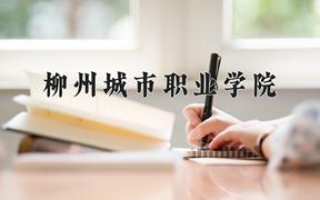 2024柳州城市职业学院录取分数线：四川最低378分