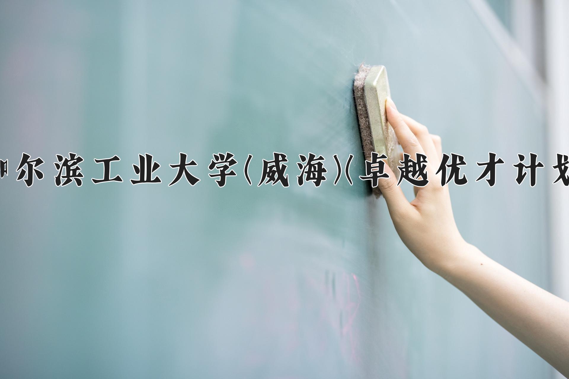 哈尔滨工业大学(威海)(卓越优才计划)