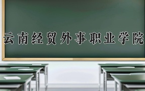 2024云南经贸外事职业学院录取分数线：四川最低243分
