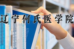 2024辽宁何氏医学院录取分数线：四川最低233分
