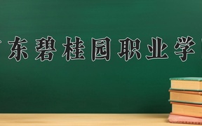 2024广东碧桂园职业学院录取分数线：四川最低251分