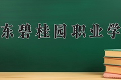 2024广东碧桂园职业学院录取分数线：四川最低251分