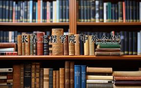 2024长春工程学院(中外合作)录取分数线：四川最低504分