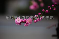 2024毕节幼儿师范高等专科学校录取分数线：四川最低406分