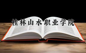 2024桂林山水职业学院录取分数线：四川最低250分
