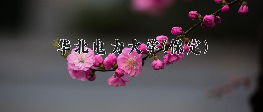 华北电力大学(保定)