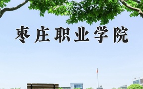 2024枣庄职业学院录取分数线：四川最低193分
