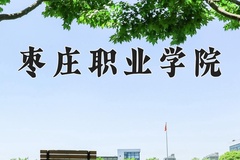 2024枣庄职业学院录取分数线：四川最低193分
