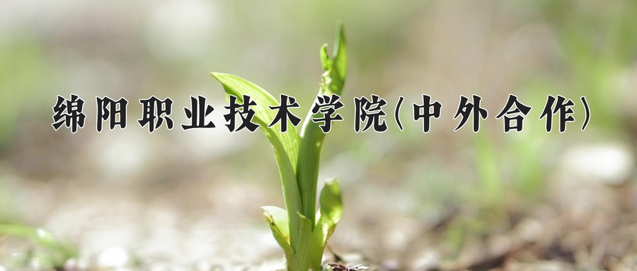 绵阳职业技术学院(中外合作)