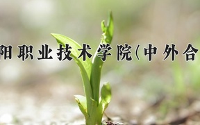 2024绵阳职业技术学院(中外合作)录取分数线：四川最低397分
