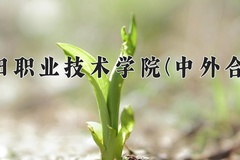 2024绵阳职业技术学院(中外合作)录取分数线：四川最低397分