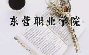 2024东营职业学院录取分数线：四川最低340分