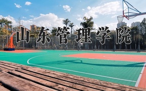 2024山东管理学院录取分数线：四川最低500分