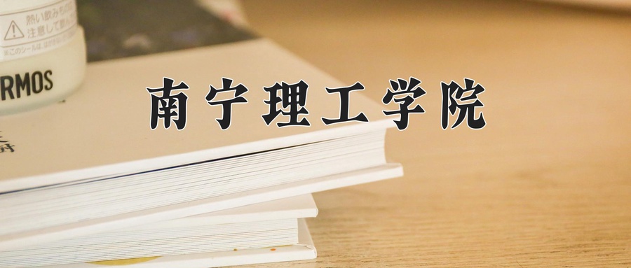 南宁理工学院