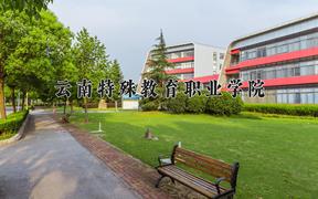 2024云南特殊教育职业学院录取分数线：四川最低396分