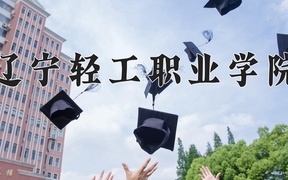2024辽宁轻工职业学院录取分数线：四川最低347分