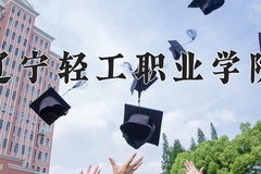 2024辽宁轻工职业学院录取分数线：四川最低347分
