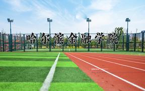2024哈尔滨金融学院录取分数线：四川最低502分